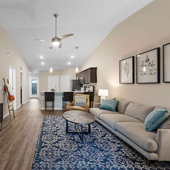 a living room with a grey couch and a blue patterned rug.
