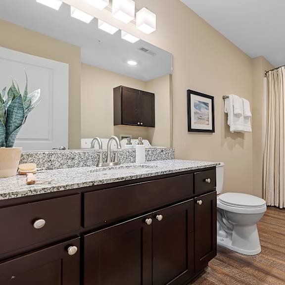 a bathroom with a toilet, sink, and shower.