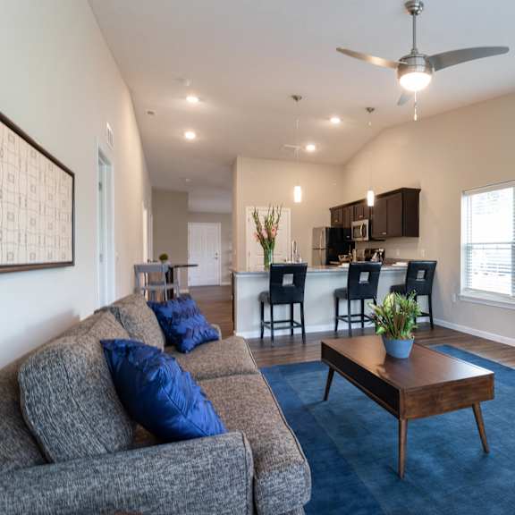 a living room with a grey couch and a blue rug.