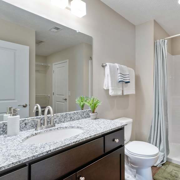a bathroom with a white toilet, a sink with a mirror above it, and a shower with a curtain.