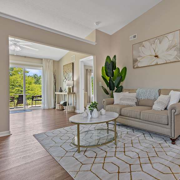 a living room with a couch, coffee table, and a plant.