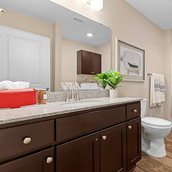 a bathroom with a toilet, sink, and a plant on the counter.