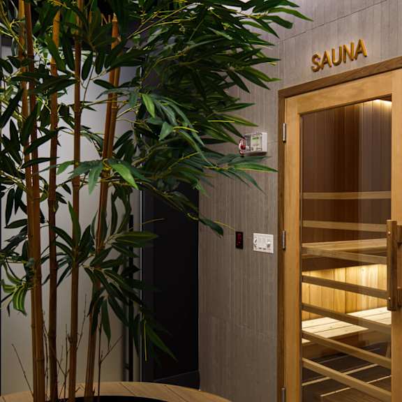 a wooden door to a sauna with a plant next to it