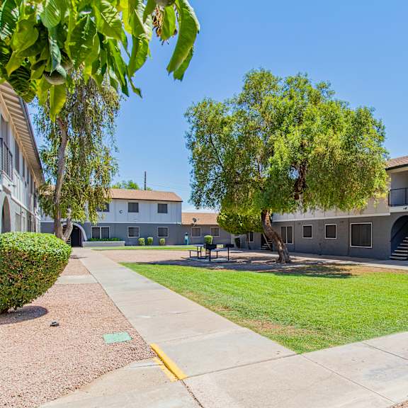 a courtyard between two apartment buildings with a tree in the middle