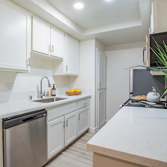 kitchen with white cabinets and stainless steel dishwasher at banbury apartments riverside