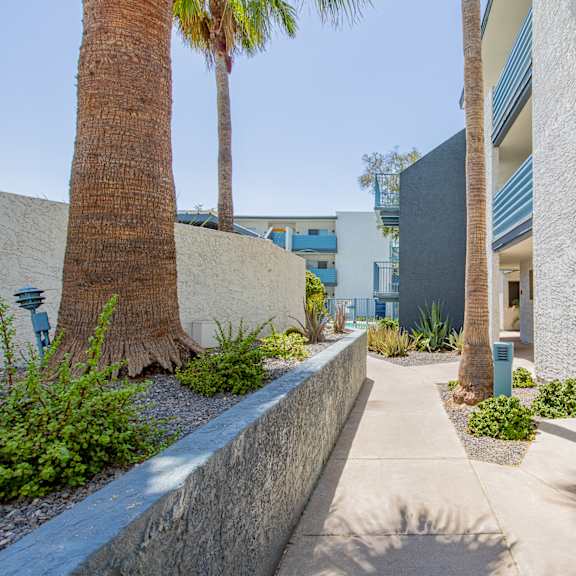 a walkway with palm trees in front of a building