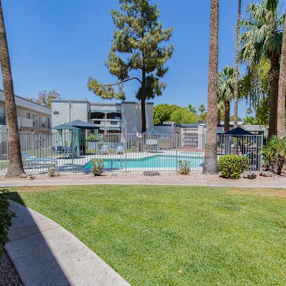 a swimming pool surrounded by palm trees and apartment buildings at sofia apartments, tempe, 85283