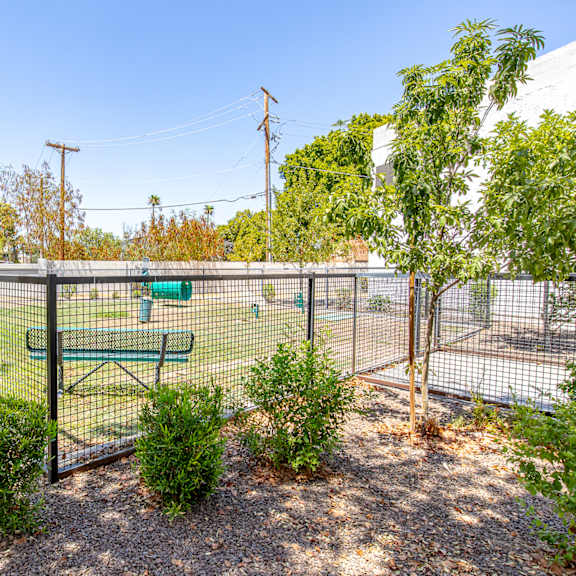 a fenced in dog park with a bench and trees