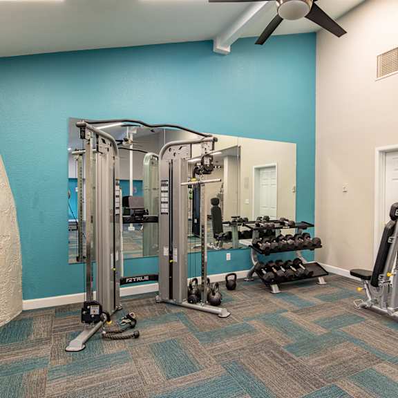 the preserve at ballantyne commons fitness room with weights and cardio equipment