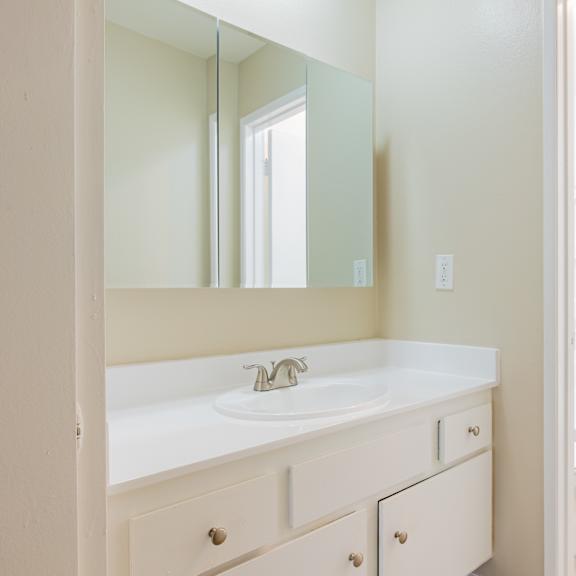 a bathroom with a sink and a mirror