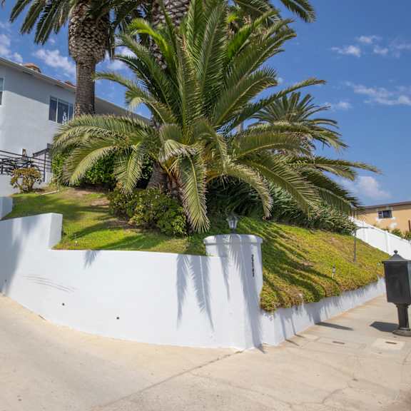 a palm tree sits in front of a white house on a hill