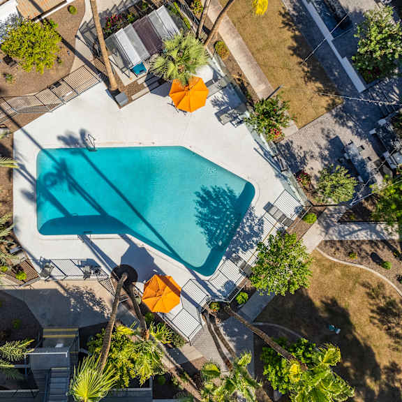 a swimming pool in a backyard with palm trees