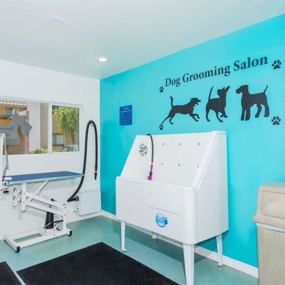 a home gym with a blue wall and a white sink