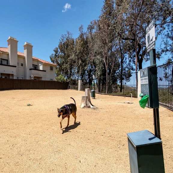 a dog running in a yard in front of a house