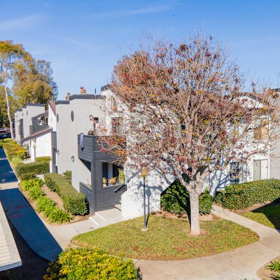a group of white houses with a tree in the middle