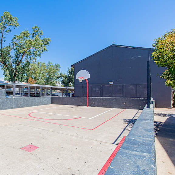 a basketball court with a red line on the ground and a basketball hoop on the right side.