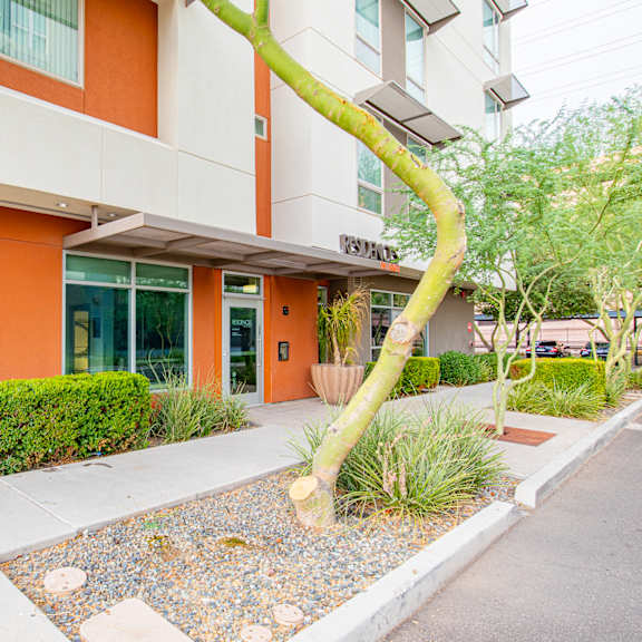 an orange building with a tree in front of it