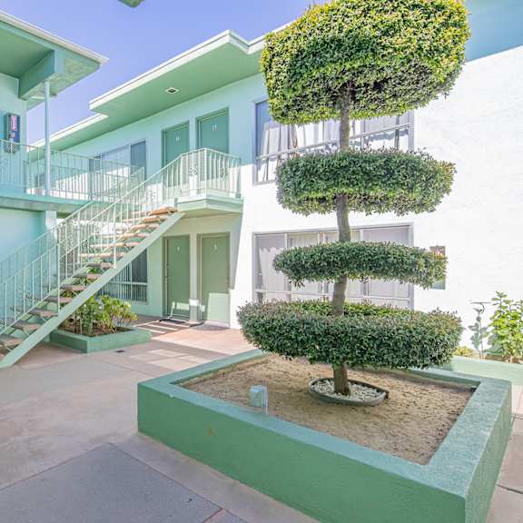 a building with stairs and a courtyard with a tree
