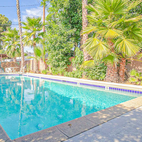 a swimming pool in a backyard with palm trees