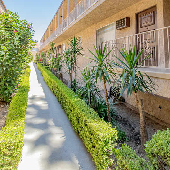 a street in front of a building with plants and a sidewalk