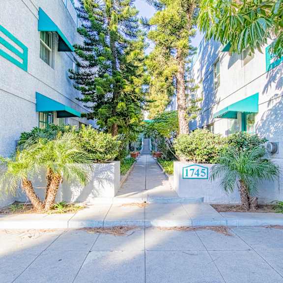 a sidewalk in front of a building with palm trees