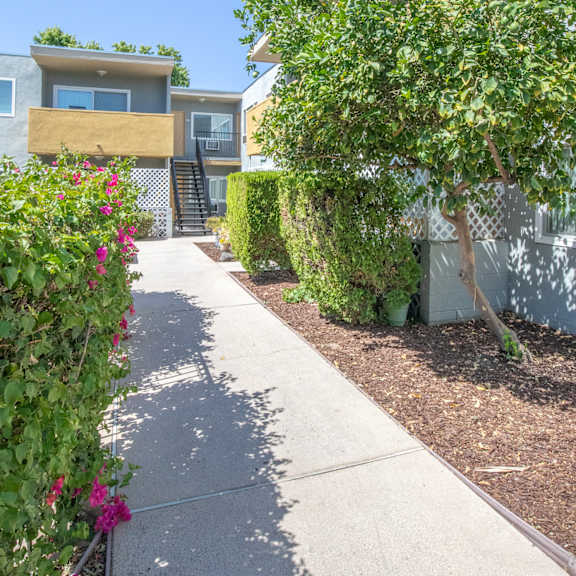 a sidewalk in front of a house with trees and bushes