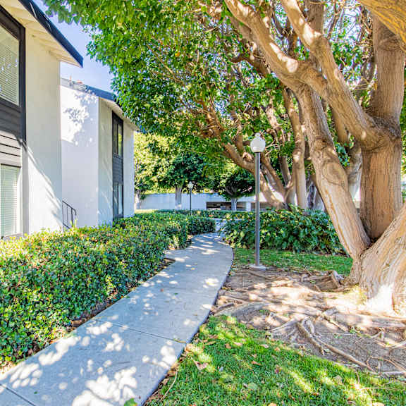 a sidewalk in front of a building with trees