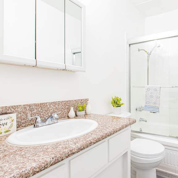 a bathroom with a sink and a shower and a toilet