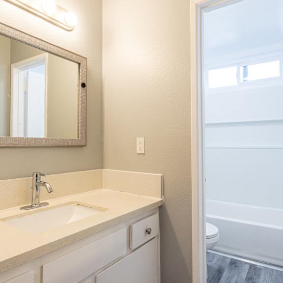 a bathroom with a sink and a mirror and a shower