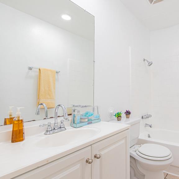 a bathroom with a sink and a toilet and a tub