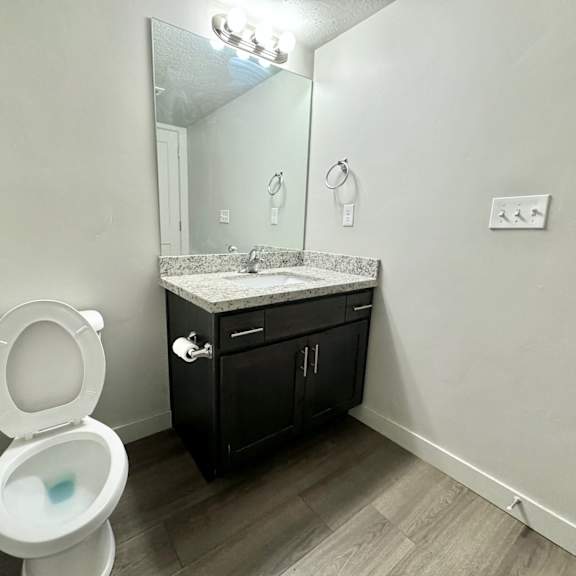 a bathroom with a toilet and a sink and a mirror