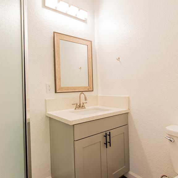 a bathroom with a sink and toilet and a shower
