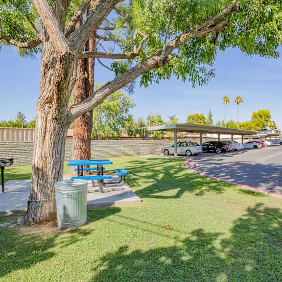 a picnic table under a tree next to a parking lot