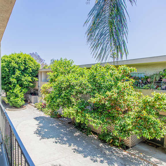 a building with a long sidewalk and some trees and bushes