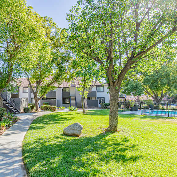 a tree in a yard with a rock in front of it at metro 3610, riverside, 92505