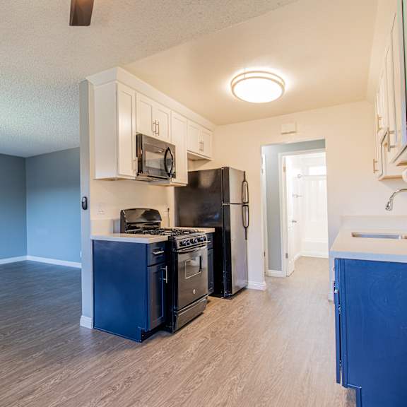 a kitchen with blue cabinets and appliances.