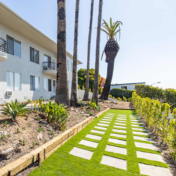 a white building with a balcony and a palm tree in front.