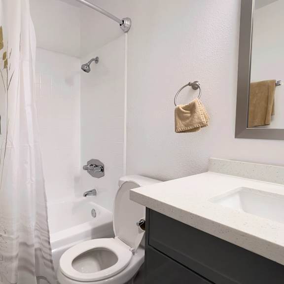 a bathroom with a sink and a toilet and a shower