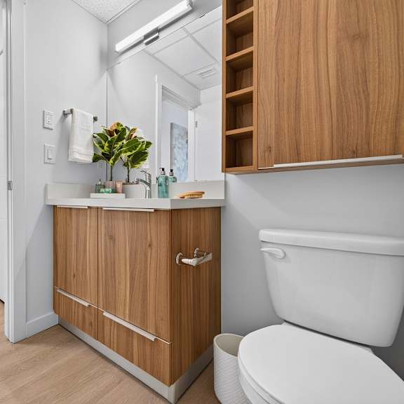 a white toilet sits next to a wooden cabinet in a bathroom.