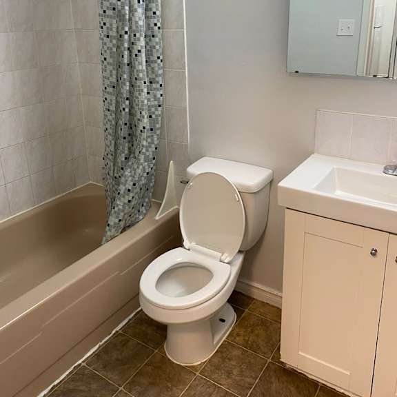a white toilet sits next to a bathtub in a bathroom.