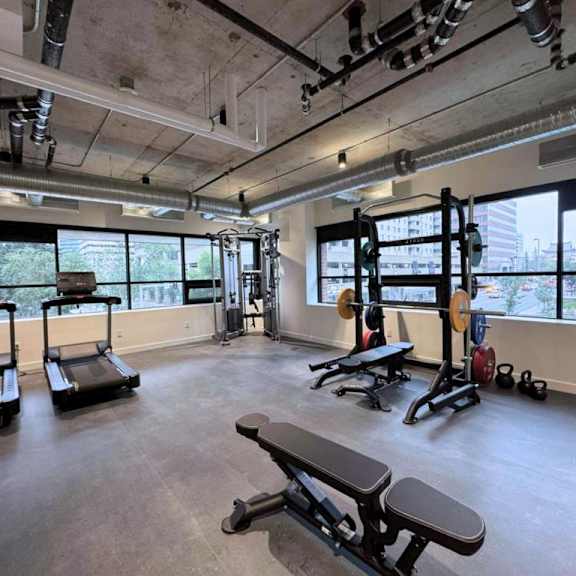 a gym with treadmills, weightlifting equipment, and windows.