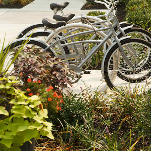 a row of bicycles are parked in a garden.
