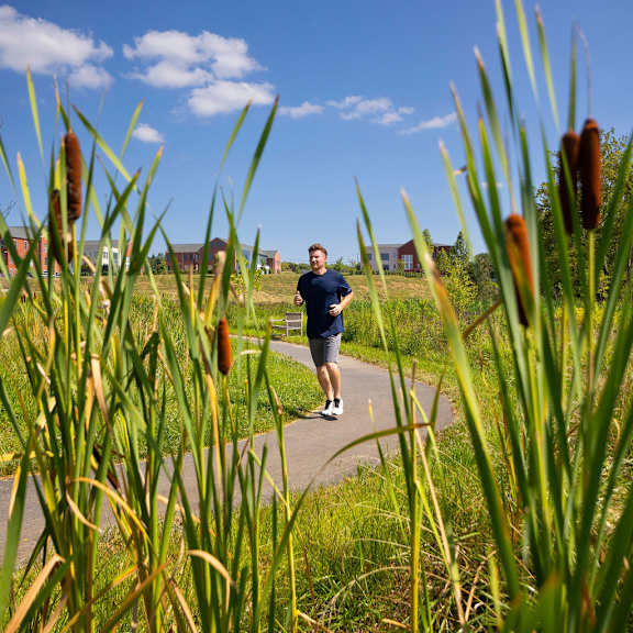 a man is walking on a pathway surrounded by tall green plants.