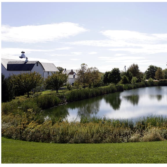 a pond in the middle of a grassy field with a house in the background.