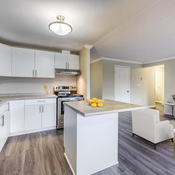 open concept kitchen and living area