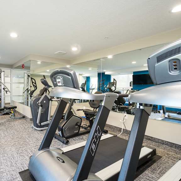 fitness equipment in the gym