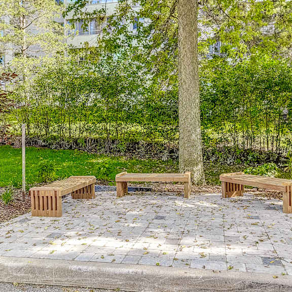 a group of benches sitting next to a tree