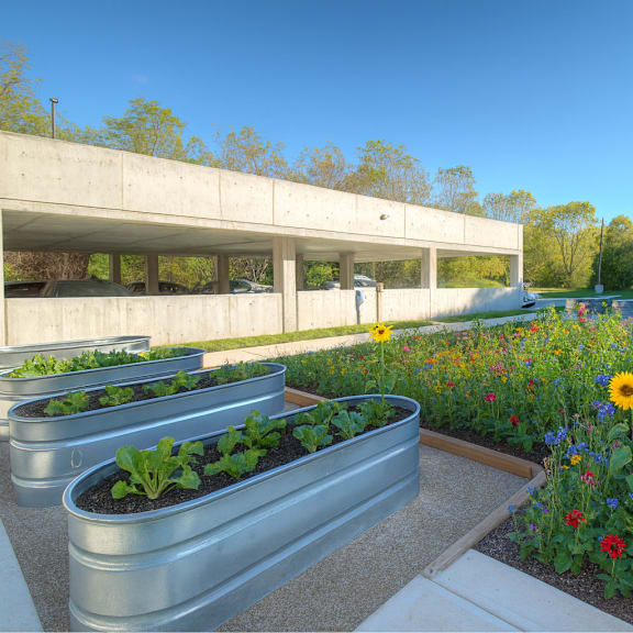 a sunny day at a park with a variety of flowers and plants.