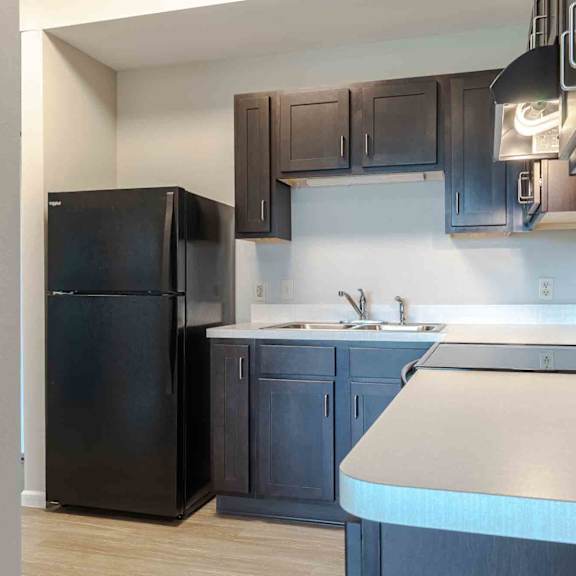 a black refrigerator is in a kitchen with a white counter.
