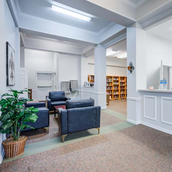 a room with a large rug and a potted plant.